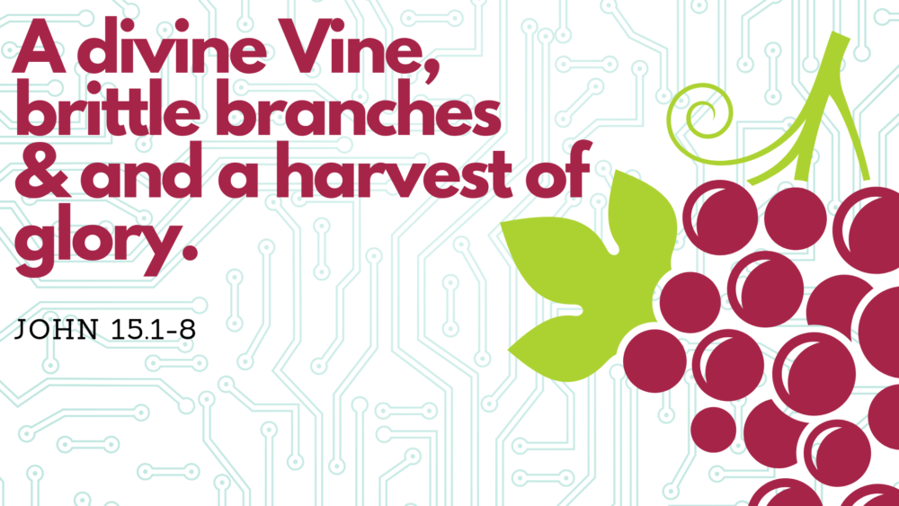 A Divine Vine, Brittle Branches, and a Harvest of Glory