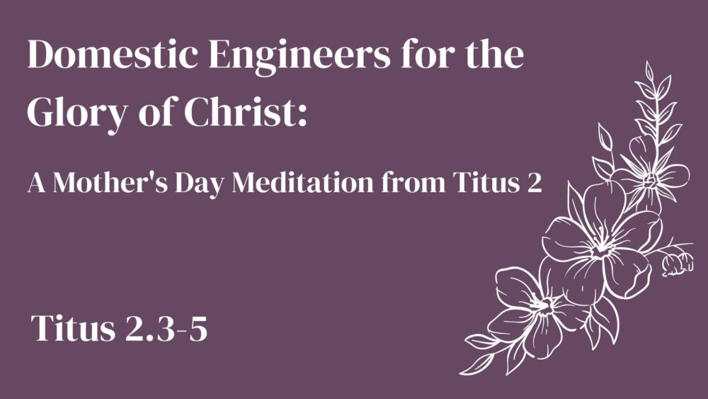 Domestic Engineers for the Glory of Christ: A Mother\'s Day Meditation 