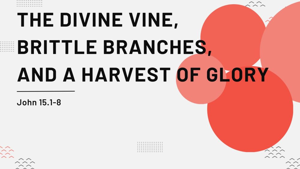 The Divine Vine, Brittle Branches, and a Harvest of Glory