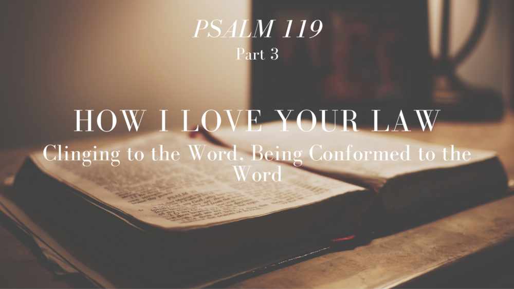 How I Love Your Law, Part 2: Clinging to the Word, Being Conformed to the Word Image