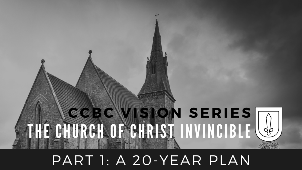 CCBC Vision Series, Part 1:  A 20 Year Plan Image