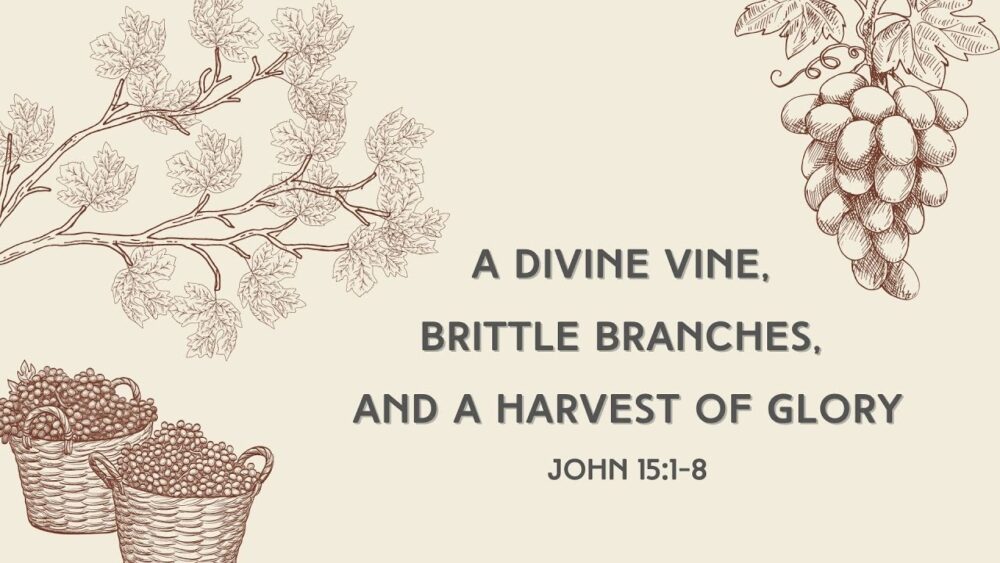 A Divine Vine, Brittle Branches, and a Harvest of Glory Image